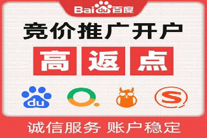 SEM推广策略：成功案例分享与启示